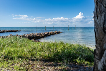 Tranquil Shoreline at Holmes Beach