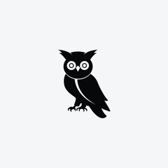 owl on a black background