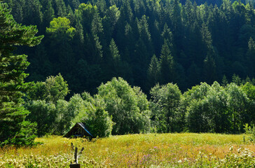 Landscape in contour lighting