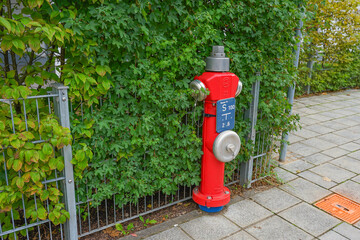 Red fire hydrant by green hedge and metal fence in an urban environment.