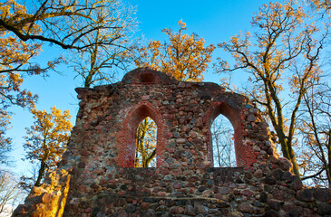 old castle ruins in the forest