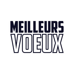 MEILLEURS VOEUX (HAPPY NEW YEAR in French) metallic gold brush calligraphy banner on transparent background