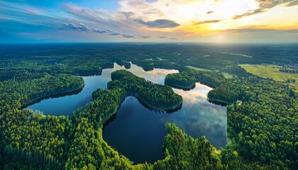 Fototapeta premium Aerial View Of Dense Green Forest With World Map Shaped Reflective Lakes At Sunrise