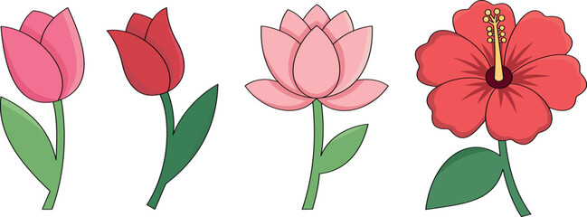 Set of Beautiful Flower Vectors | Tulip, Lotus & Hibiscus | Colorful botanical clipart for design and printing