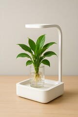minimalist hydroponic plant growing under led light
