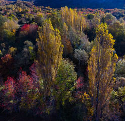 Aerial drone view of the autumn landscape of the mountains surrounding Hoz de Jaca in the Tena Valley, Alto Gallego region, Huesca, Aragon, Spain, Europe