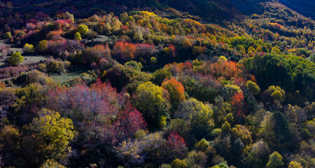 Aerial drone view of the autumn landscape of the mountains surrounding Hoz de Jaca in the Tena Valley, Alto Gallego region, Huesca, Aragon, Spain, Europe