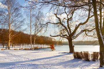 Sunny winter day  in the park.  Muchowiec, Katowice,  Silesia, Poland