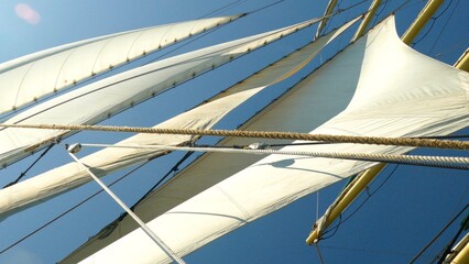 under the sails of a tall ship
