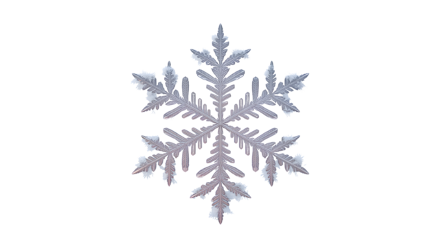 A single, detailed snowflake isolated on transparent background, showcasing its intricate crystalline structure and delicate beauty