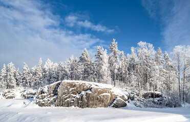 Snow-covered forest on a frosty winter day.