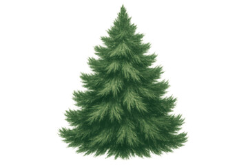 Fototapeta premium Green spruce pine tree with a traditional conical shape, featuring a natural appearance on a transparent alpha background
