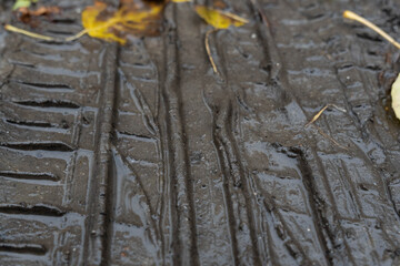 Close-up view of a wet tire tread with fallen leaves, showcasing intricate patterns and textures, highlighting the importance of tire maintenance and safety on slippery surfaces