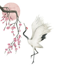 Obraz premium Watercolor print of crane and sakura. Hand drawn illustration on white background