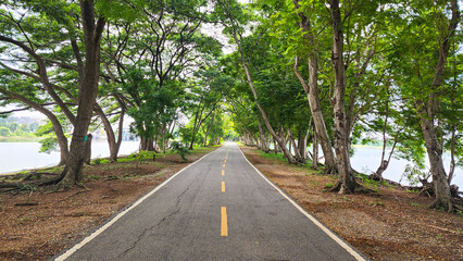 ​A straight, paved road is shown leading into the distance, framed by a dense canopy of vibrant green trees On both sides of the road, the trees create a natural tunnel effect