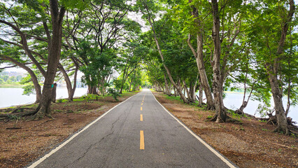 ​A straight, paved road is shown leading into the distance, framed by a dense canopy of vibrant green trees On both sides of the road, the trees create a natural tunnel effect