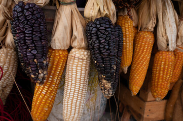 corn cubs on the market