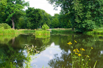 Serene park lake reflects lush green trees and blue sky
