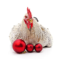 Rooster with Christmas ornaments on white background.