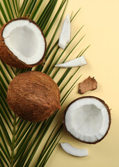 broken coconut and palm branches on a colored background.. Vertical photo format