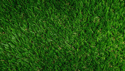 green grass background Artificial make