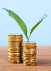 Piles of gold coins and a fresh sprout. cash income growth concept.. Vertical photo format