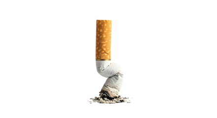 Cigarette butt with ash and filter on transparent background