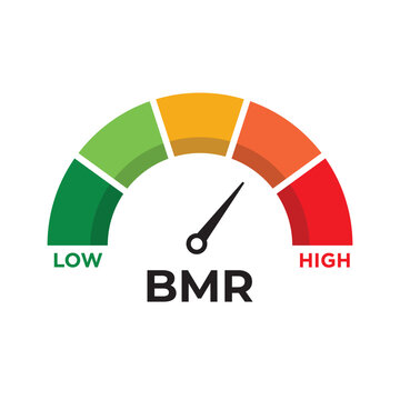 BMR Level Meter. Speedometer Gauge Indicator Showing Basal Metabolic Rate Scale. Vector Stock Illustration.