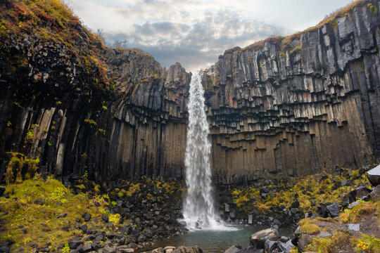 Svartifoss waterfall cascades down dramatic basalt columns in Iceland. Surrounded by vibrant autumn colors, it showcases the unique geology of the area.