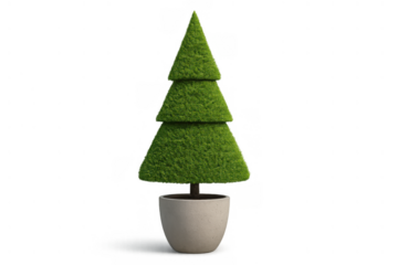 Potted topiary cone tree celebrating christmas and holidays, green plant with decorative shapes, transparent background
