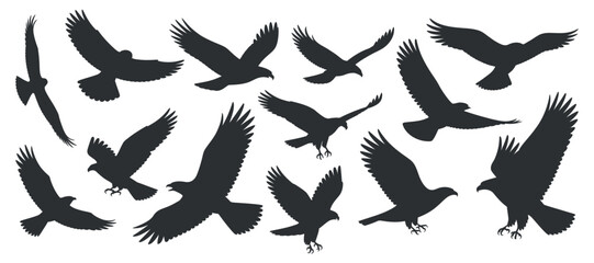 Set of bird of prey silhouettes of eagle different flying poses in sky with dynamic action in air with minimal vector art