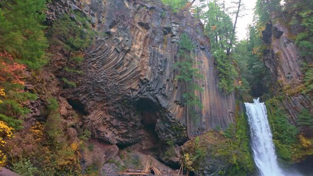 A breathtaking view of Toketee Falls, showcasing its iconic columnar basalt formations and its two dramatic tiers in the lush Oregon forest.