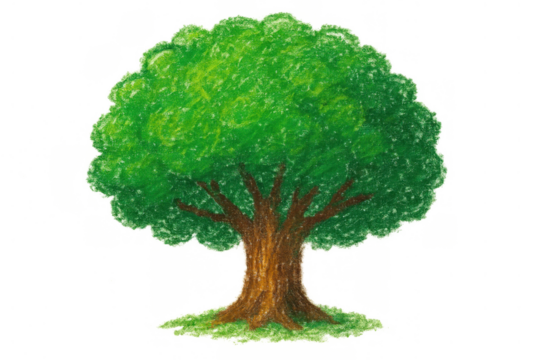Green tree drawing with crayon texture, illustrating nature, environment, and growth, isolated on transparent background