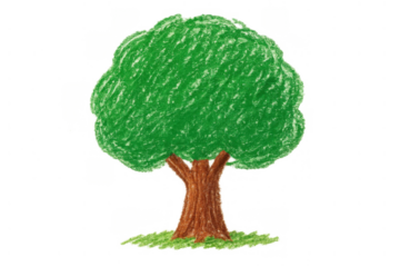 Green crayon drawing of a tree, representing nature, growth, and environment on a transparent background