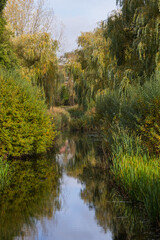 Little canal overgrown by bushes and trees. The surrounding houses can only be seen in the reflection of the water. Good example of urban greening in The Netherlands.