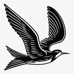 Obraz premium Tern line art White background illustration Generative Ai