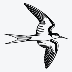 Fototapeta premium Tern line art White background illustration Generative Ai