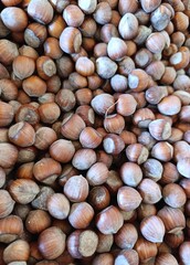 hazelnut placer, natural background of nuts
