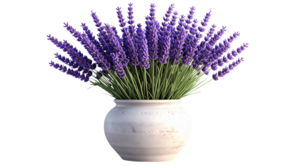 Circle off-white ceramic vase with beige texture, holding delicate lavender branches. Minimal, elegant floral decor perfect for modern home, branding, or digital design projects.