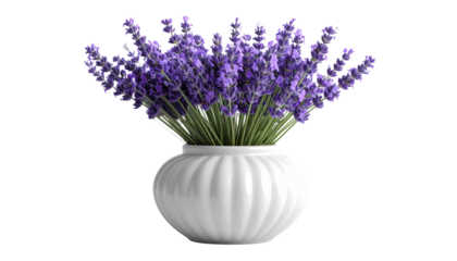 circle white ceramic vase with beige texture, filled with lavender branches. Minimal, elegant floral decor for home styling, modern design, branding, or digital creative projects.