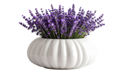 Oval white ceramic vase with beige texture, filled with lavender branches. Minimal, elegant floral decor for home styling, modern design, branding, or digital creative projects.