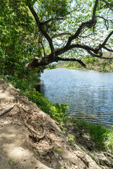 rio haina entorno de las ruinas de engombe republica dominicana