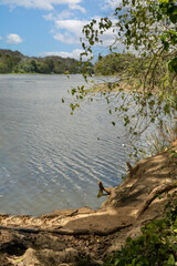 rio haina entorno de las ruinas de engombe republica dominicana