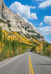Naklejka premium Autumn colors in the Canadian Rockies on the Icefields Parkway - Banff National Park