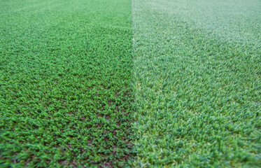 Display of two types of artificial turf with different colors and densities