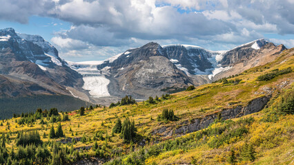 Wilcox Pass Trail with view of the Columbia Icefield on the Icefields Parkway - Jasper National...