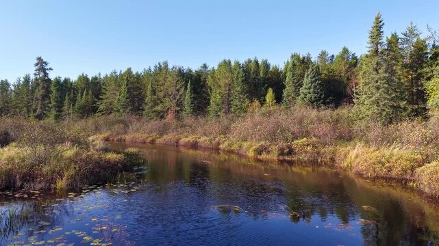 MINNESOTA - 10.31.2025 - Beautiful aerial footage flying low over a river in a Minnesota forest, bending with its turns.