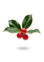 christmas holly sprig with berries, christmas festive leaf decor, holiday greenery with red berries
