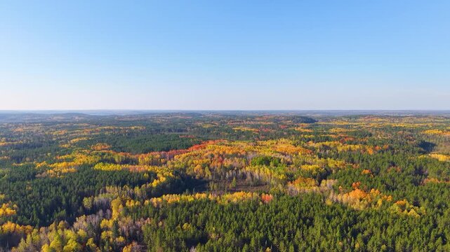 MINNESOTA - 10.31.2025 - Wonderful aerial footage rising above a Minnesota forest filled with colorful trees.