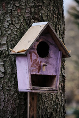 A lilac birdhouse on a tree in a park